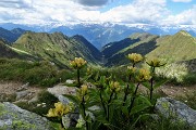 57  Vista in Val Cervia e Alpi Retiche